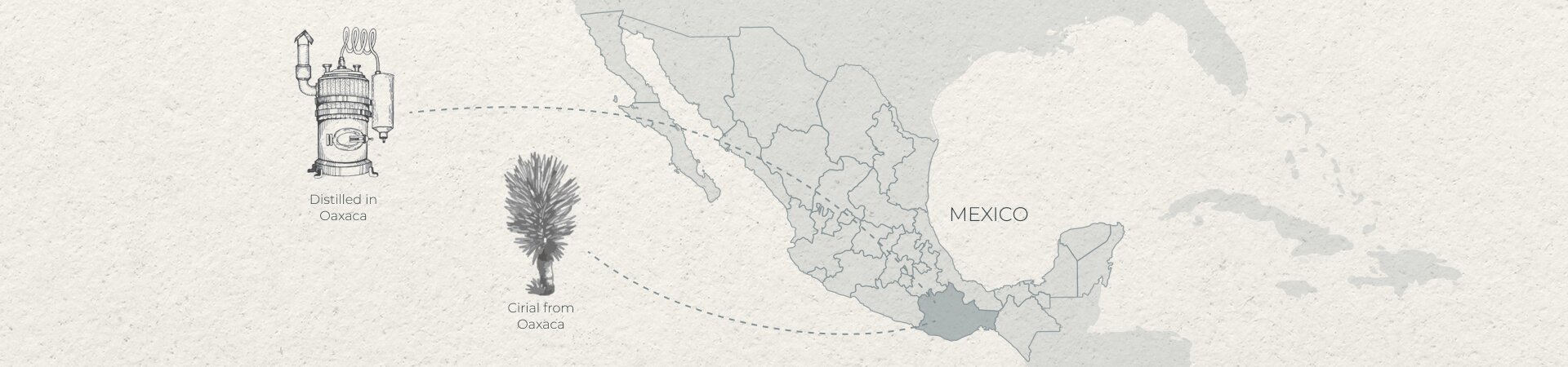 Cirial from Oaxaca Distilled in Oaxaca
